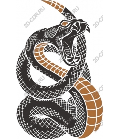Intricate coiled snake