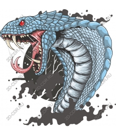  Fierce Blue Cobra