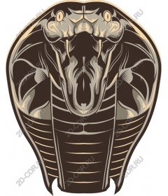 Majestic Cobra