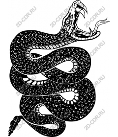  Cruel job Black-and-white snake