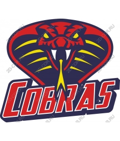  Cobra