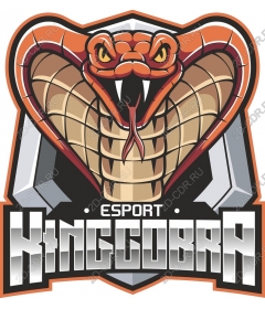  King Cobra Киберспорт