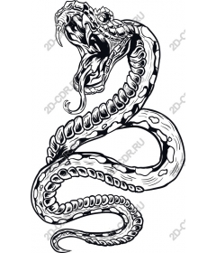  Fierce Snake