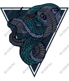 Intricate Snakes