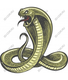  Cobra