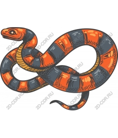  Vivid snake