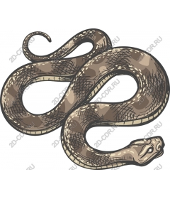 Intricate snake in and