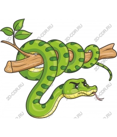 Vivid snake