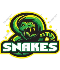  Vivid snake