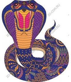  Bright Cobra