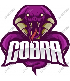  Bright Cobra