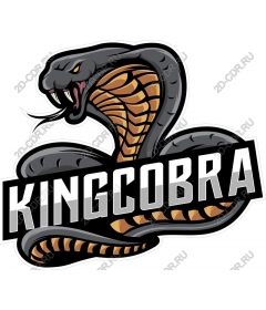 King Cobra