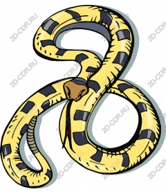  Charming yellow snake