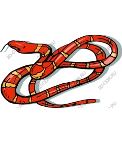  Bright red snake