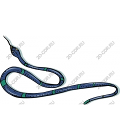  Bright blue snake