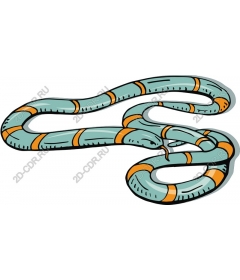 Stylish snake colors blue and orange