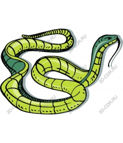  Bright green snake