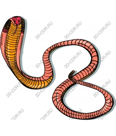  Vivid snake
