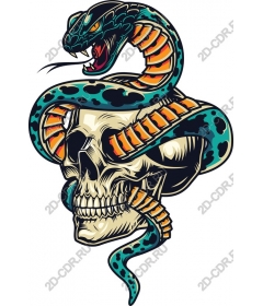 Snake and Skull