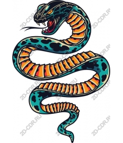  Tropical snake