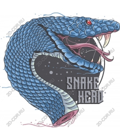 The head of the snake