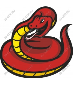  Bright red-yellow snake
