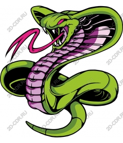  Fierce green Cobra