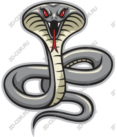  Cobra