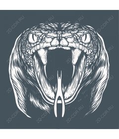  Fierce Snake