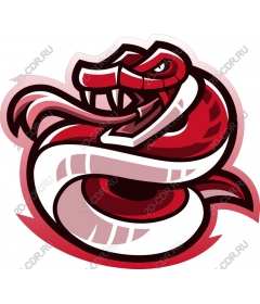  Fierce red snake