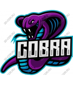  Cobra — a bold and powerful