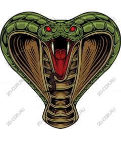  Cobra
