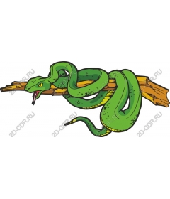  Bright green snake