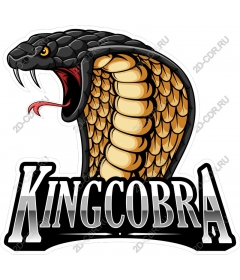  Королевская кобра