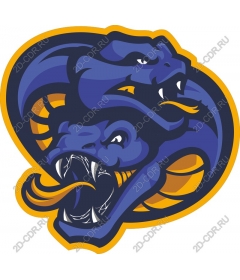  Ferocious two-headed snakes