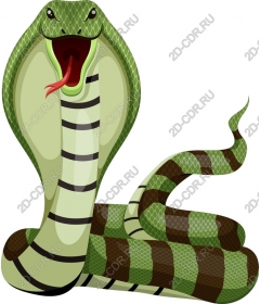  Bright green Cobra