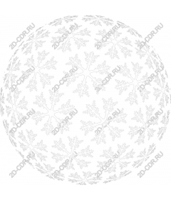  Elegant floral geometry