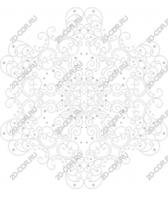 Exquisite snowflake