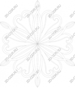 Intricate winter snowflake