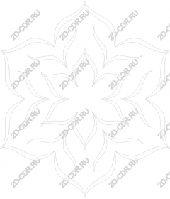  Elegant floral