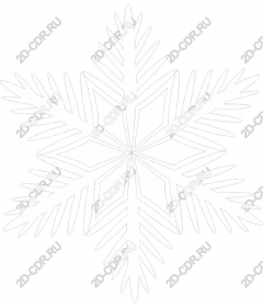 Winter wonder snowflake