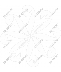  Floral Abstraction
