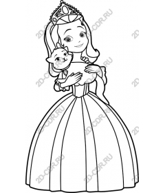  Fancy Princess cat