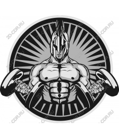  Fitness Spartan warrior