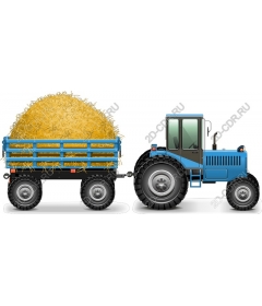  Blue tractor carries a hay