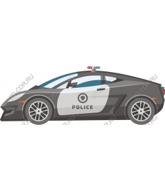  Elegant police car