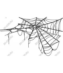  A complex web