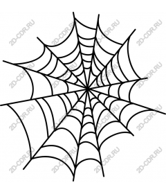  A complex web