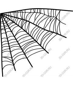  A complex web