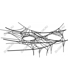  A complex web